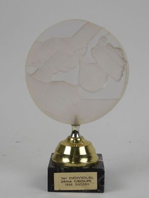 trophy on a marble base with a gold plated base and a white background