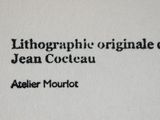 the cover of the book lithoggraphie organe de jean cocteau