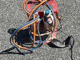 a fire hydrant and a hose on the ground