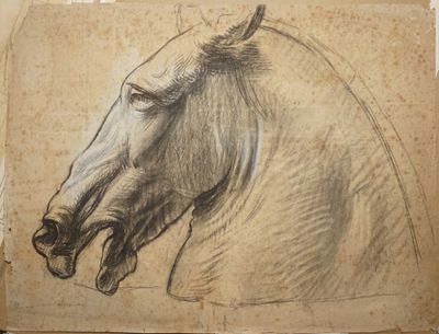 BESNARD Albert, 1849-1934, Tête de cheval, Fusain et craie b… - Photo 1