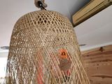 une lampe en osier suspendue au plafond dans une pièce