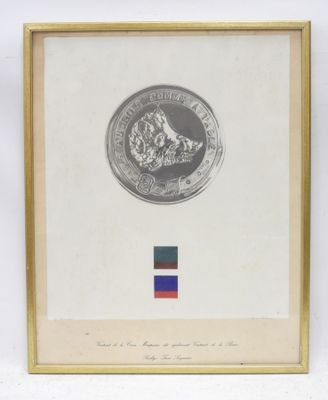 a framed picture of a coin with a red, white, and blue stripe