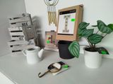 a potted plant sitting on a desk next to a pair of scissors and a pair of scissors