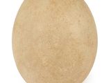 a ball of soap on a white background