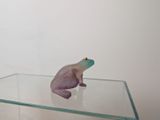 a small figurine of a frog sitting on top of a glass table