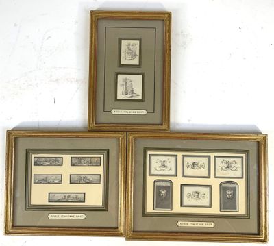three framed pictures of a couple of different animals on a wall