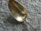 a silver spoon sitting on the ground on the ground