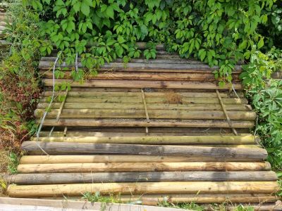un tas de bois posé dans l'herbe