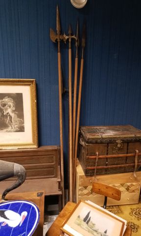Lot de lances et hallebarde