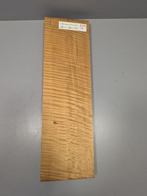 Fond en érable pour violon, ~45cm