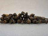 a pile of nuts that are on a table