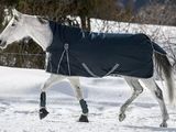 a white horse wearing a blanket walking in the snow