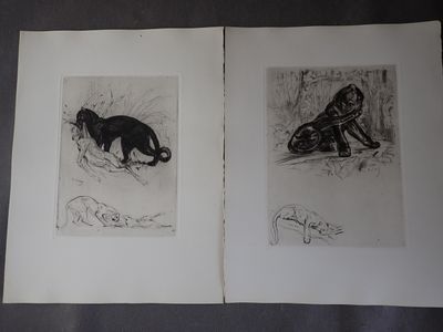deux dessins en noir et blanc représentant un chat et un chien