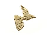 a gold pendant with a map of the state of new york on it