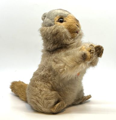 STEIFF. Marmotte Molly Piff en peluche, Ref.