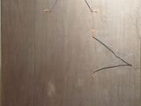 an image of a picture of a painting on a wooden wall
