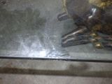un oiseau assis sur une table en verre