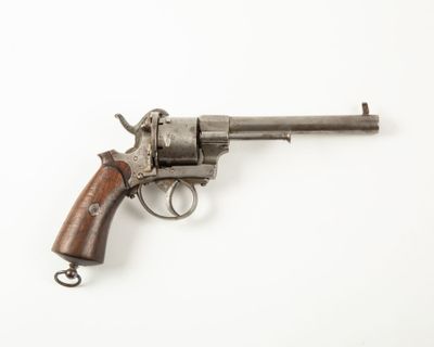a colt colt colt colt colt colt colt colt colt colt colt colt colt colt colt colt colt colt colt colt colt colt colt colt colt colt colt colt colt colt colt