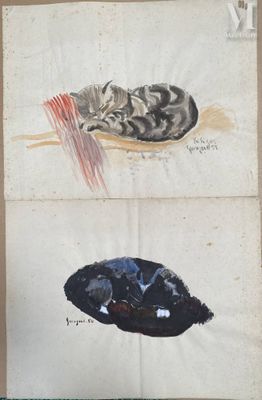 two drawings of a cat and a dog on a piece of paper