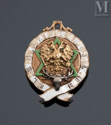 an image of a gold medal with a green star and a ribbon around it