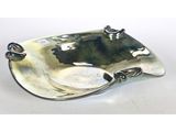 une photo d'une assiette en argent munie d'une poignée, posée sur une table