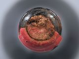 a close up of a bottle with a brown substance on it