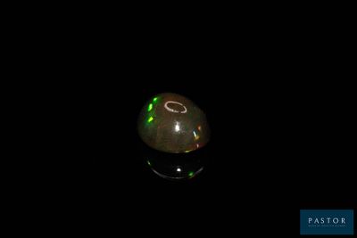 l'image d'un oplite dans l'obscurité