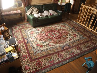 un salon avec un canapé vert et un grand tapis