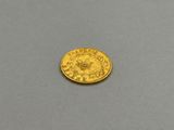 a close up of a gold coin on a gray surface