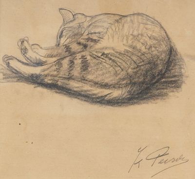 drawing of a cat laying on its side on a piece of paper