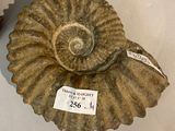 a shell shaped object with a price tag on it