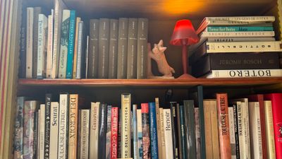 une bibliothèque sur laquelle sont posés de nombreux livres et une lampe