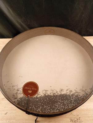 une assiette sur laquelle est collé un autocollant, posée sur une table