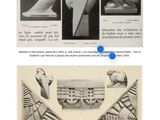 an image of a page with pictures of birds on it