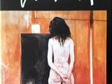 an image of a book cover with a painting of a woman standing in front of a fireplace