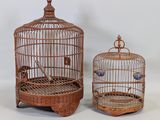 une paire de cages à oiseaux anciennes contenant des oiseaux, posées sur une surface blanche