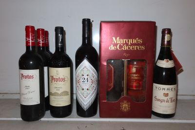 Plusieurs bouteilles de vin sont alignées sur un comptoir