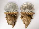 pair of brass shell sconces on a white background