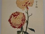 an image of a painting of two flowers on a wall