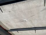a bird that is flying over the roof of a bus