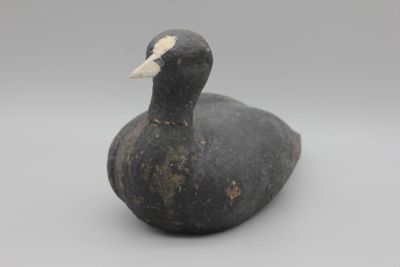 un canard noir et blanc posé sur une table