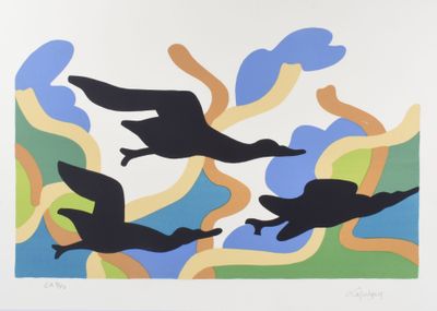 trois oiseaux volant dans le ciel au-dessus de l'eau