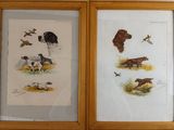 deux photos encadrées représentant des chiens et des oiseaux accrochées au mur