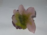 a small flower that is sitting on a table