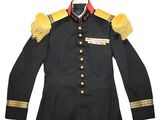 a black uniform with gold trims and buttons on a white background