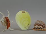 three figurines of different shapes and sizes on a table