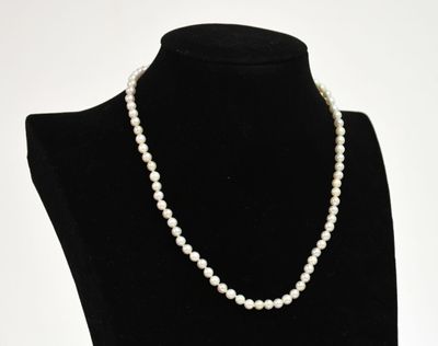 gros plan d'un collier sur un présentoir pour mannequin