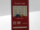 Photo 6/6 du lot