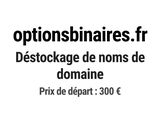 Photo 1/1 du lot