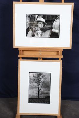 deux photographies en noir et blanc représentant un homme et un arbre